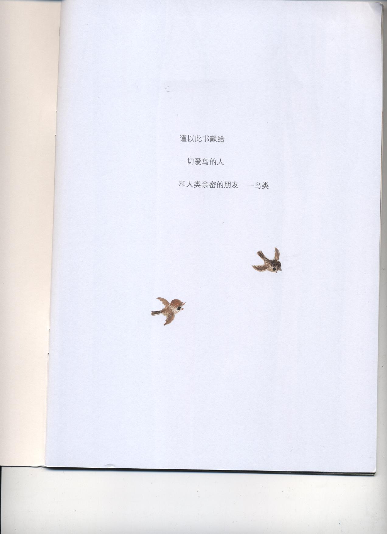 鸟窝 (02),绘本,绘本故事,绘本阅读,故事书,童书,图画书,课外阅读
